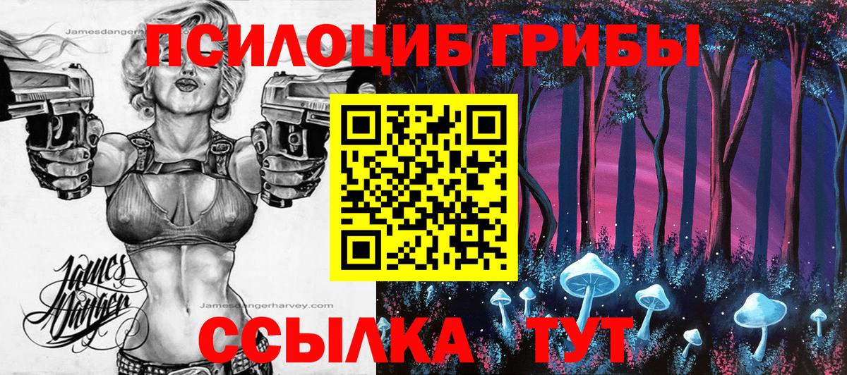 Псилоцибиновые грибы MAGIC MUSHROOMS Кудымкар